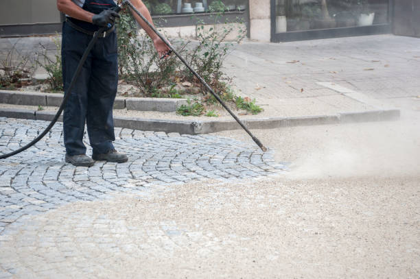 Best Winterizing Services  in King Cove, AK