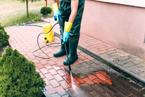 Best Driveway Pressure Washing  in King Cove, AK